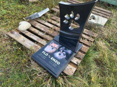 Placa de vidrio para perro