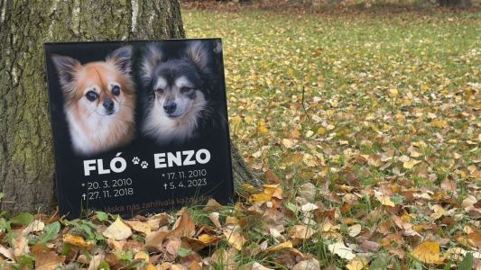 Lápida de lujo para perro