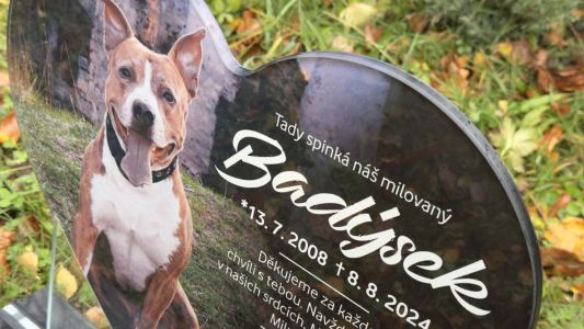 Tumbas para mascotas