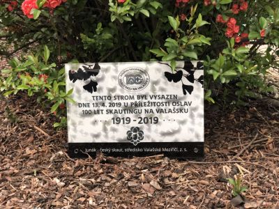 Placa de vidrio con logotipo e inscripción