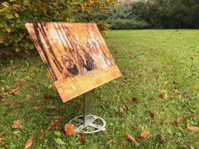 Placa conmemorativa con soporte